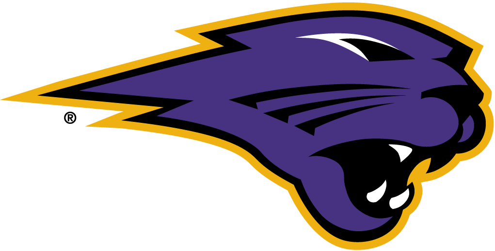 Northern Iowa Panthers 2002-Pres Partial Logo v4 diy iron on heat transfer